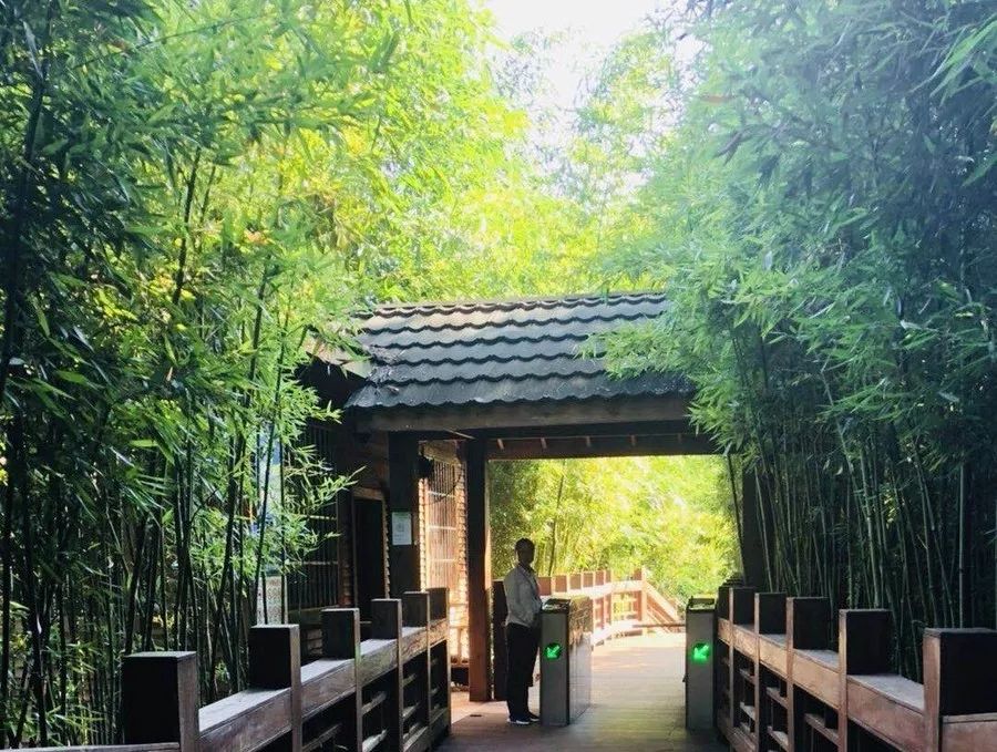 黄果树如何避开天星桥,一份详细的黄果树景区一日游攻略