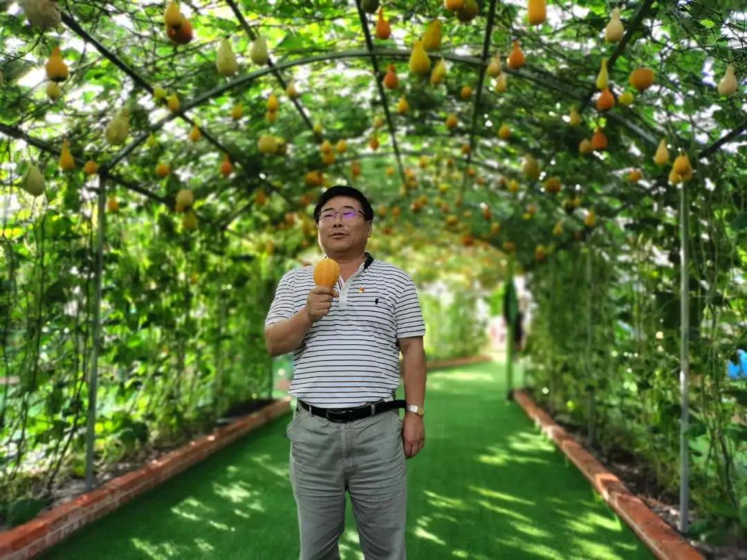 7月旅顺游玩,7月旅顺游玩去处