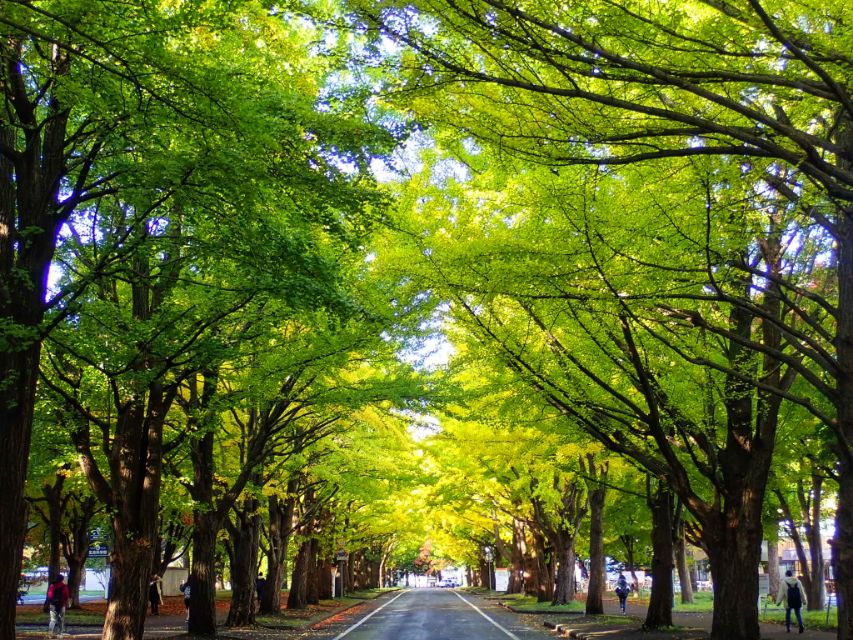 从南到北游日本之北海道札幌
