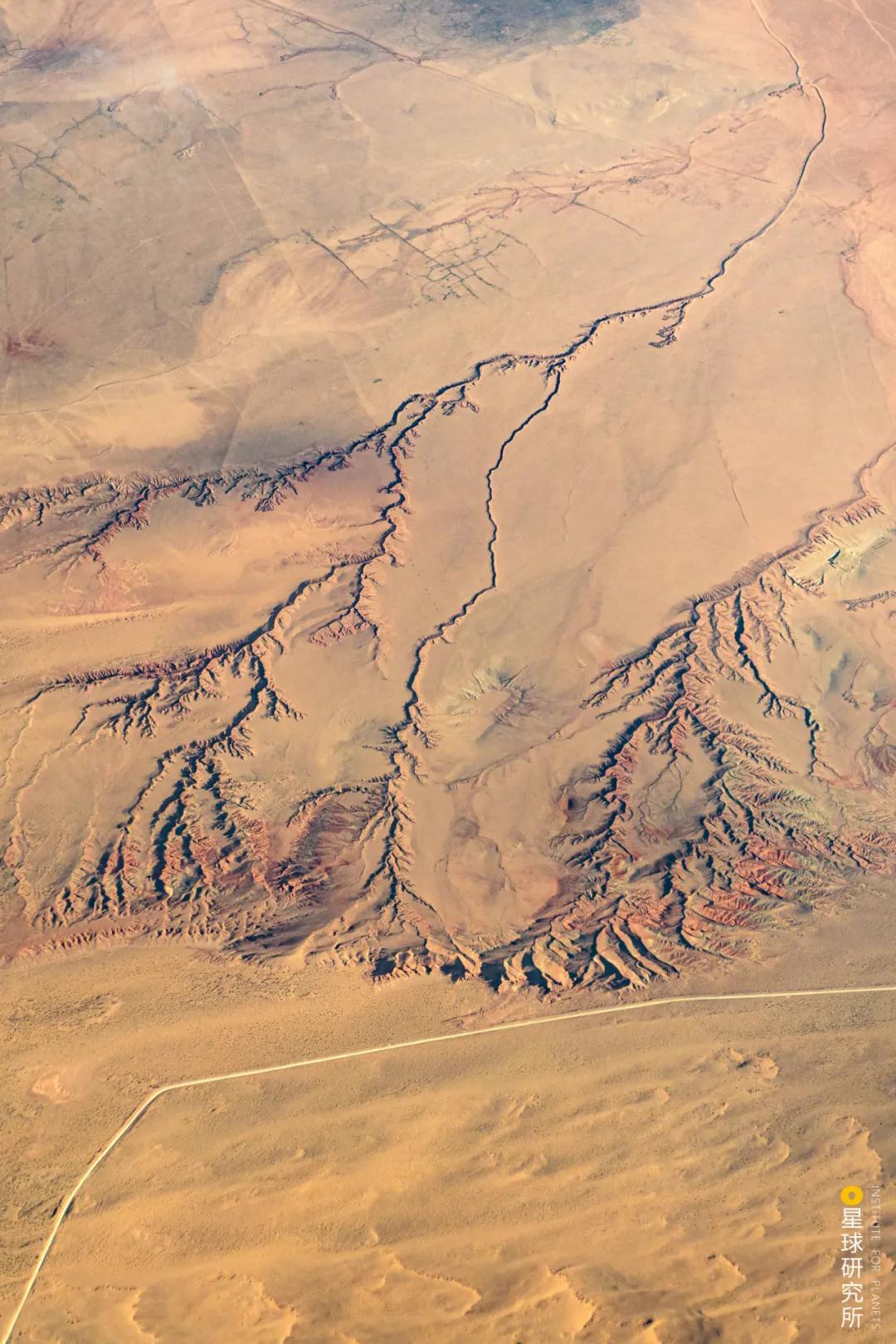 中国植树造林面积,中国植树造林成果国外有什么看法