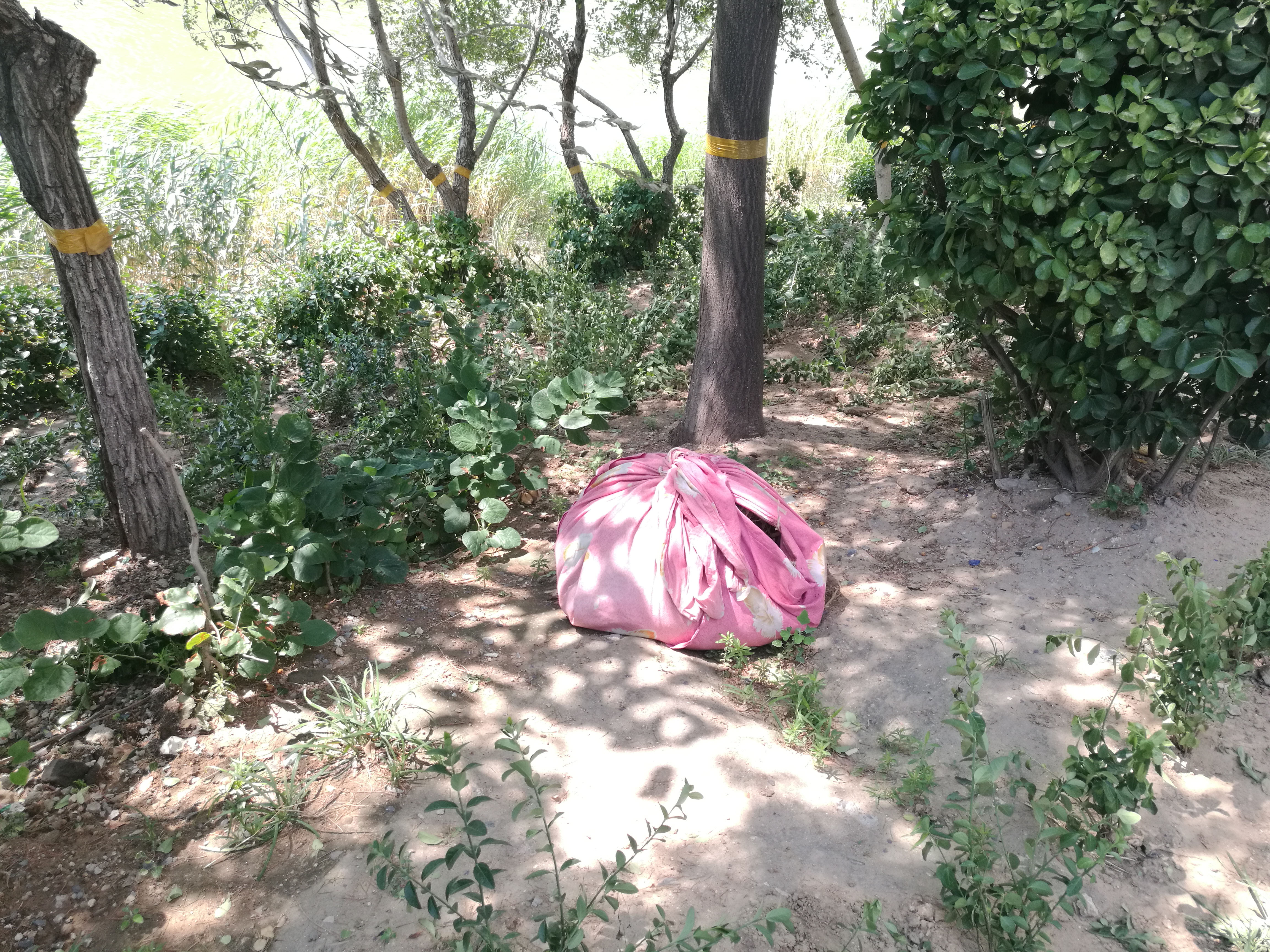 潍坊白浪河和虞河景观带,河道环境整治存在的问题