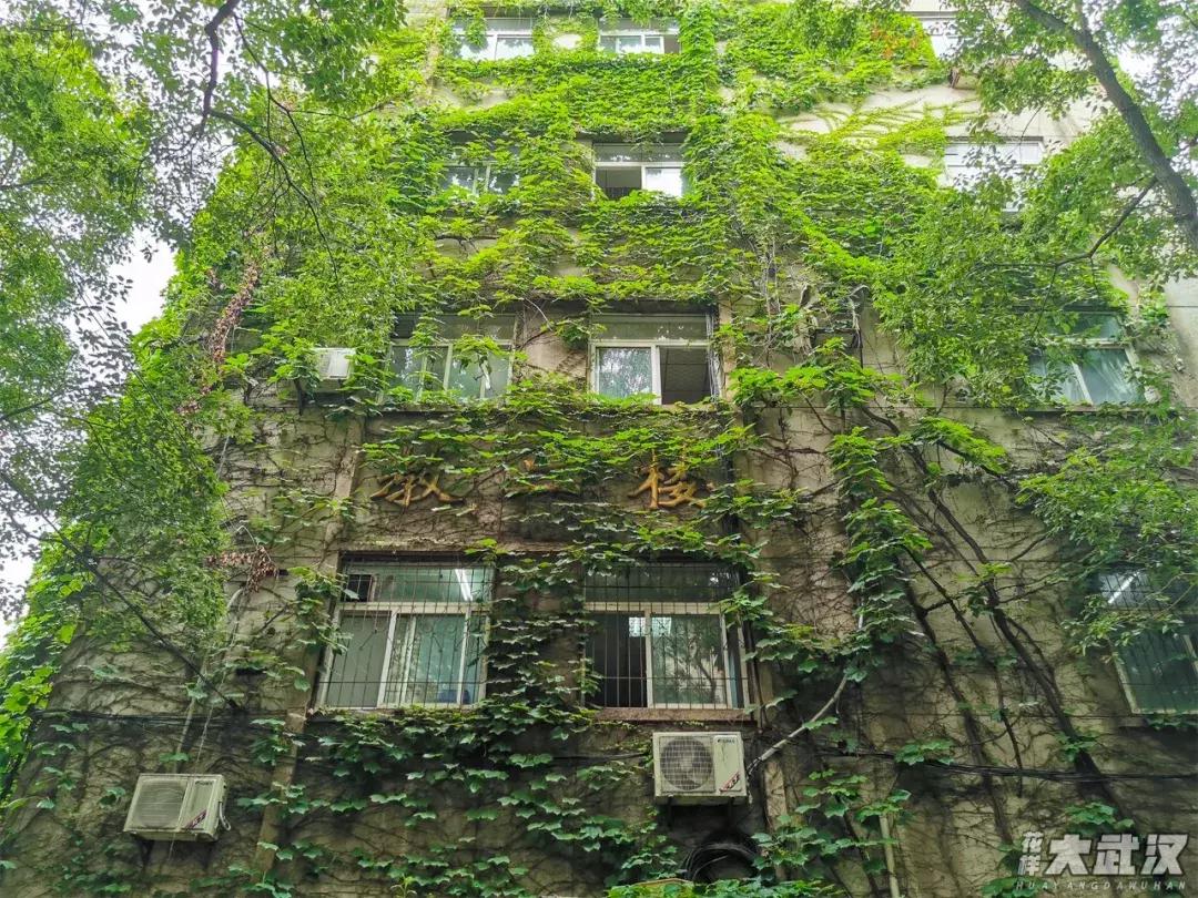 武汉科技大学的机械学院,武汉科技大学医学院和临床学院