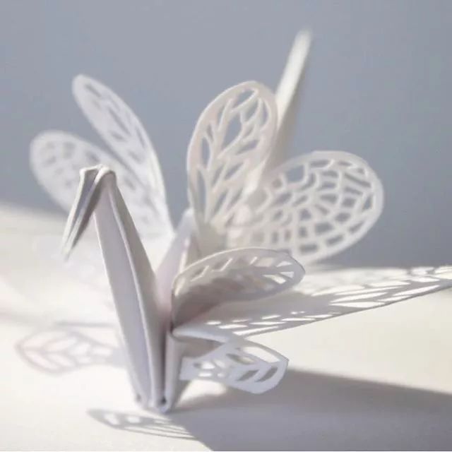 1000天1000只纸鹤,他折的纸鹤让自己走出抑郁……