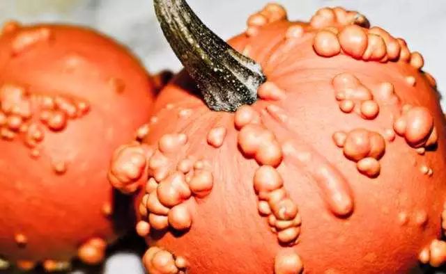 一般感染多久才得尖锐性湿疣,密恐慎入