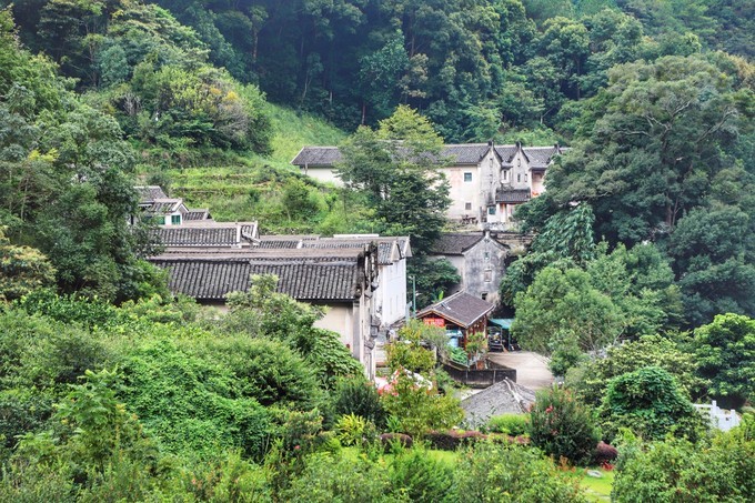 梅州采茶,梅州采茶体验