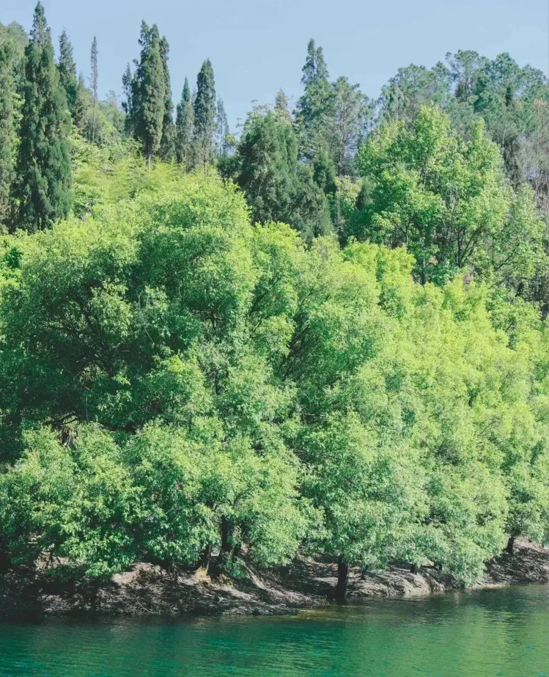 昆明市区旅游推荐避暑,昆明小众避暑景区推荐一下
