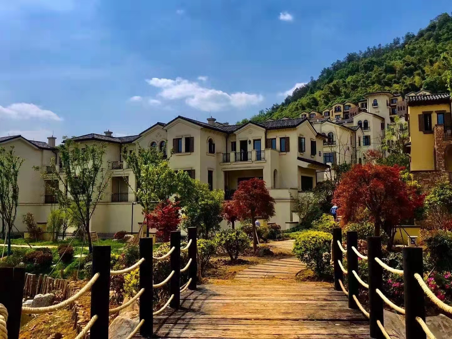 绿城龙王溪小镇房价多少钱,绿城龙王溪小镇楼盘