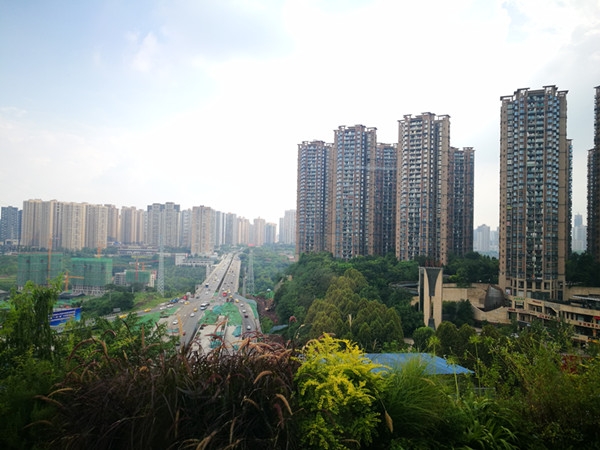 央行利率最新报告,央行一季度房地产贷款余额