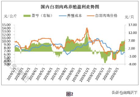 从亏损到盈利要走多远的路,从亏损800万至月赚1000万
