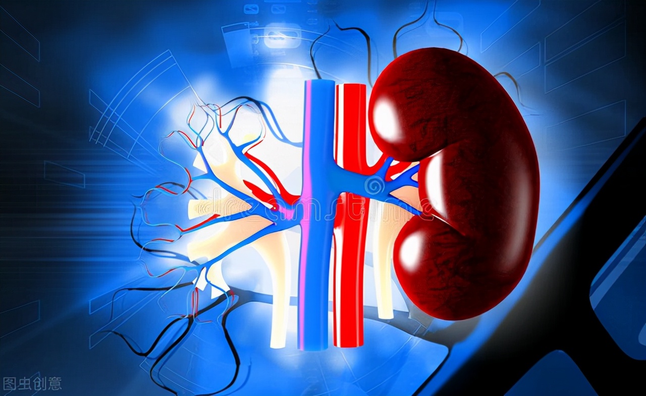 上热下寒肾阳不足吃什么中成药,上热下寒中焦不通脾肾阳虚怎么治