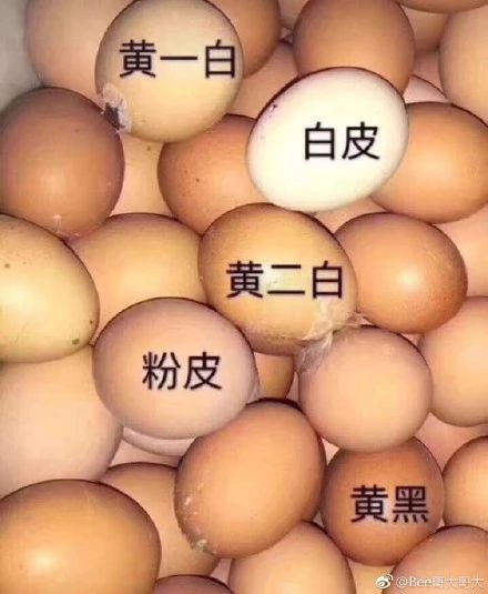 圣罗兰逆龄粉底液b10和b20怎么选,ysl粉底液逆龄b10和b20怎么选