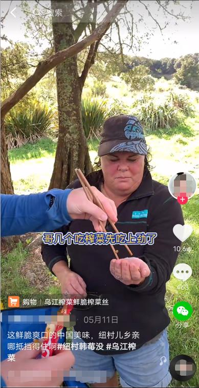 韭菜盒子用英语怎么说,韭菜盒子英语怎么说