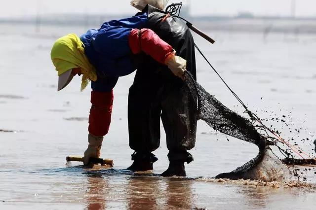 收藏！中秋有大潮来看大连最全赶海地图