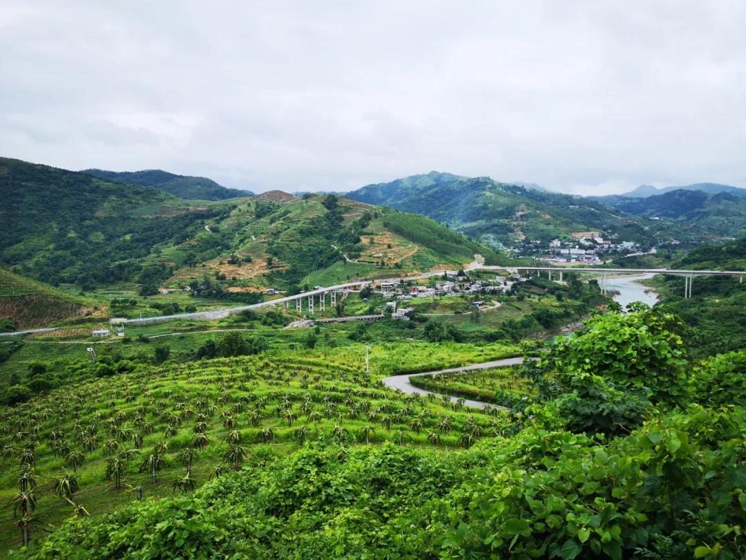 「农民日报推出《特困片区脱贫记》系列报告文学⑨」开在石头上的花