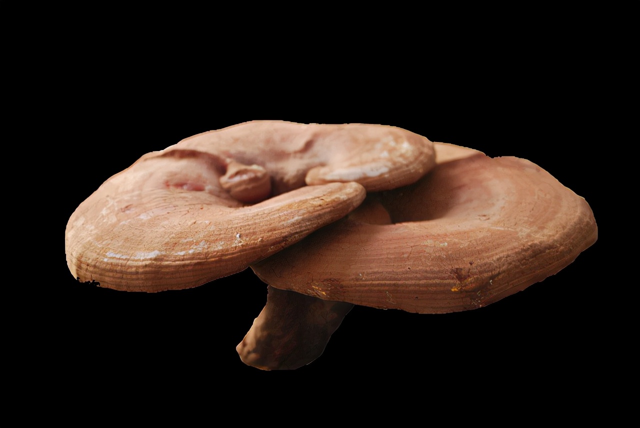 吉林地理标志农产品,吉林省23个国家地理标志农产品