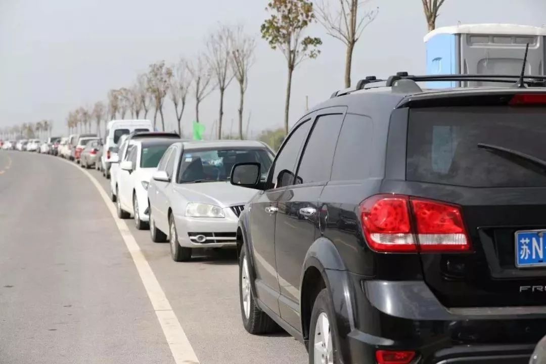 大师新手各亮绝技，1200人竞逐“古黄河野钓王”——2019年江苏省第三届古黄河野钓大赛侧记