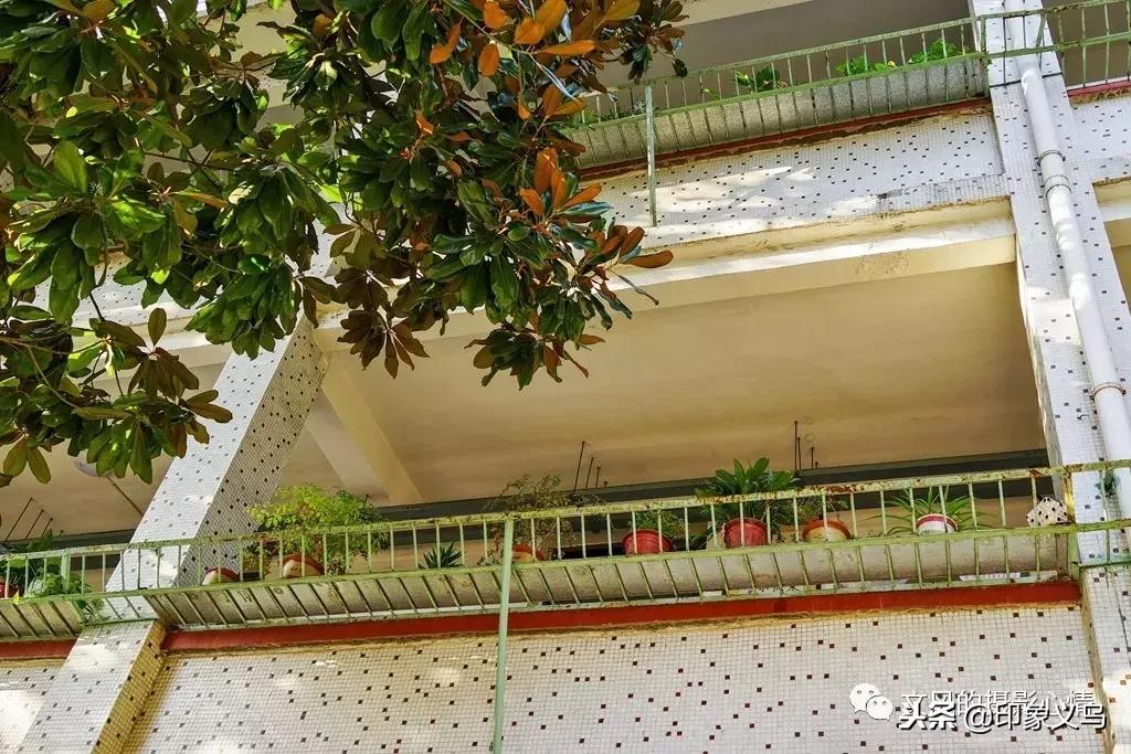 义乌稠城三小与福田小学,义乌市稠城第三小学老校区