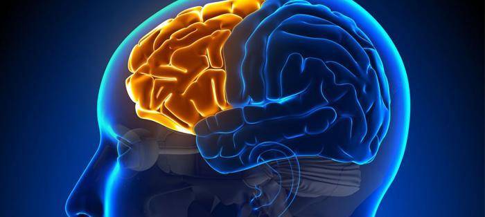 换了发型感觉不一样,换了发型好像变了一个人似的