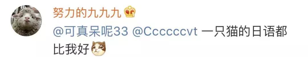 本国的猫可以听懂外国的猫叫吗 (中国的猫听得懂外国猫的叫声吗)