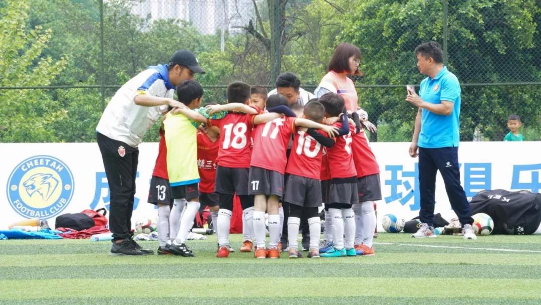 成都青羊区夜晚,青羊区夜景实拍