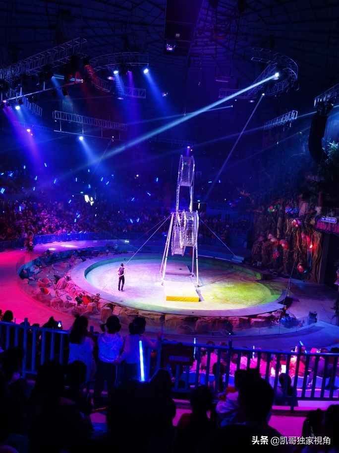 不一样的南通动物园,南通森林野生动物园和上海动物园