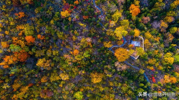 银狐洞风景区旅游路线攻略,游银狐洞