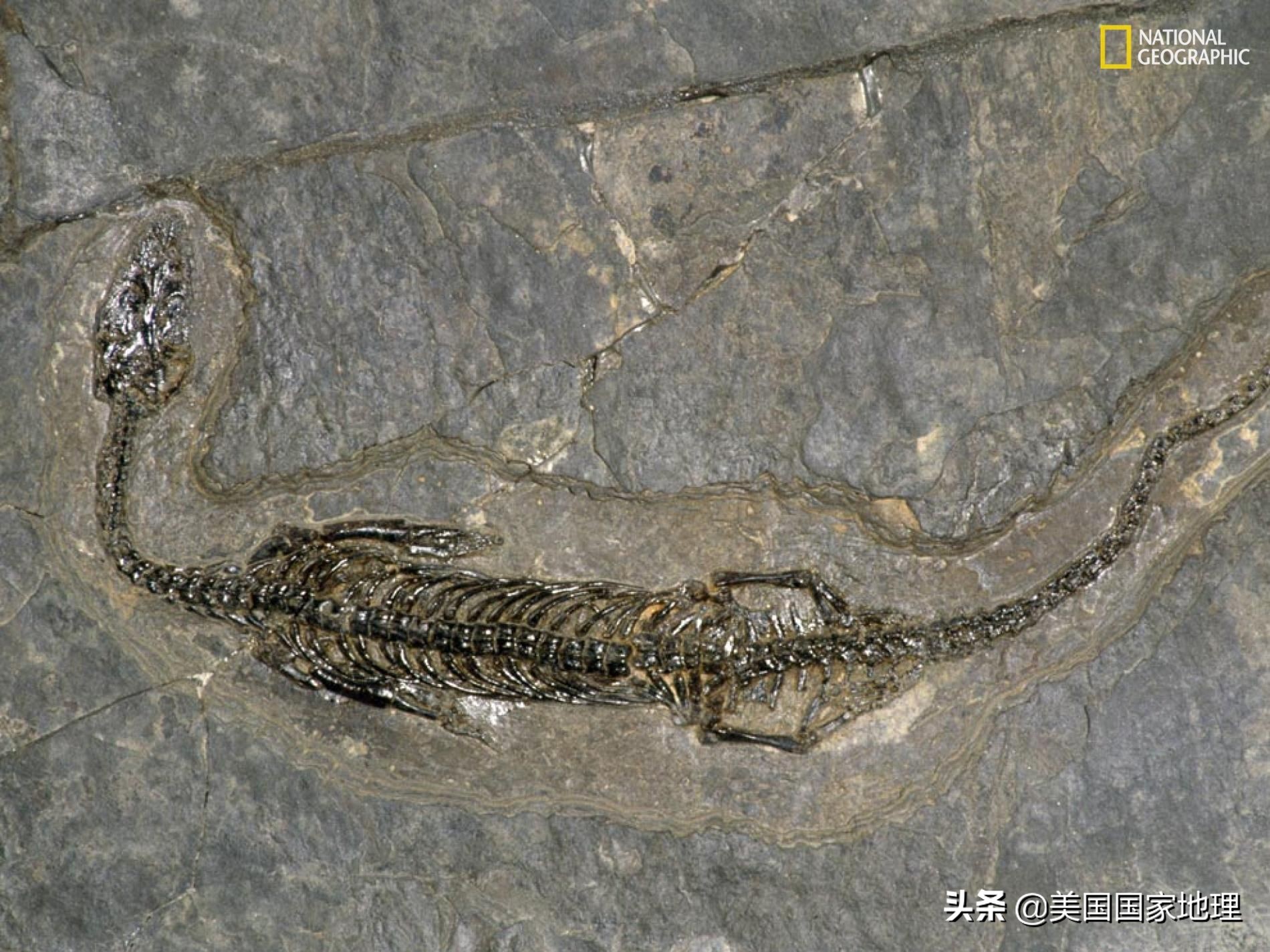 为什么两岁多的小孩得癌症,为什么小孩也得癌症