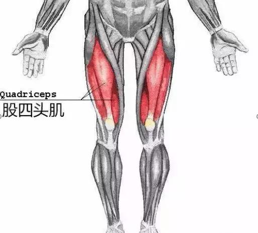 膝盖有骨刺和关节炎怎么治疗最好,膝关节长骨刺一冷就疼怎么治疗