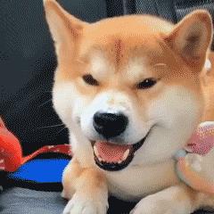 小心网络购物诈骗陷阱,警惕诈骗的四种骗局