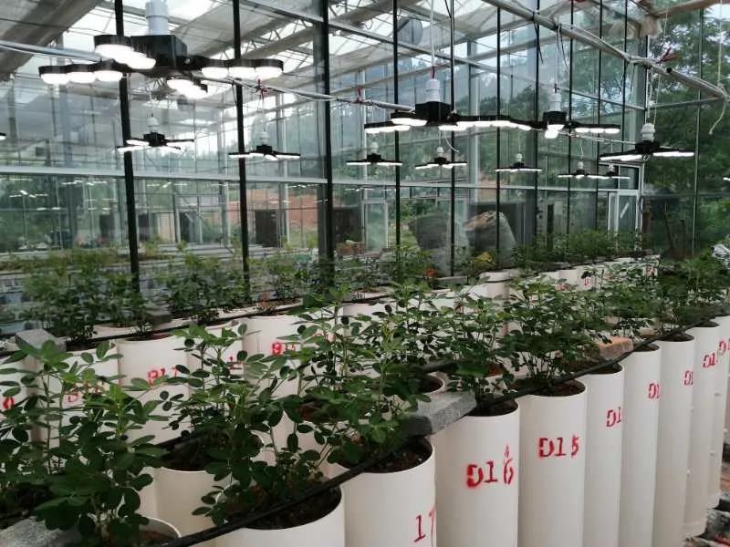 金秋十月，上海三思同时获得照明及显示屏类两项大奖