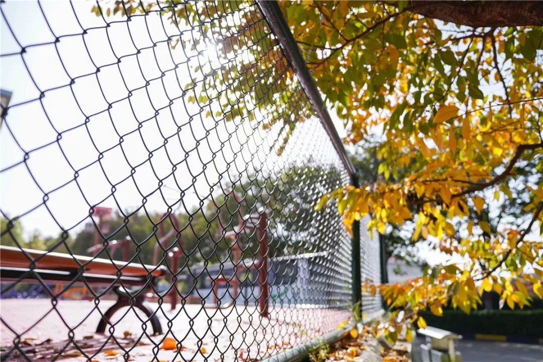 思源学院美景照片,西安思源学院秋景色