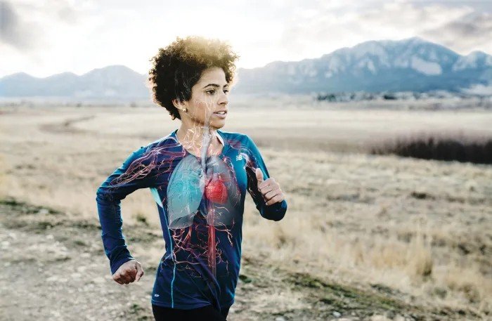 户外徒步心肺功能训练：心跳呼吸过快怎么处理？