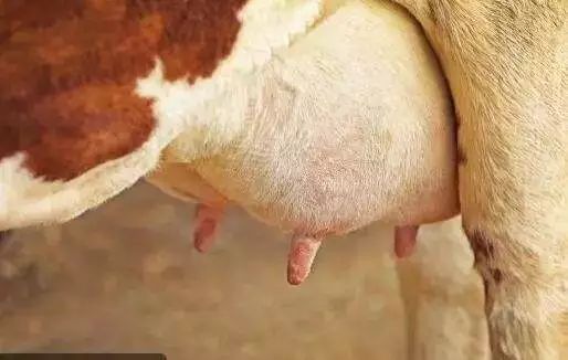 性不可耻|学生仔那些羞羞的小困惑该怎么办？