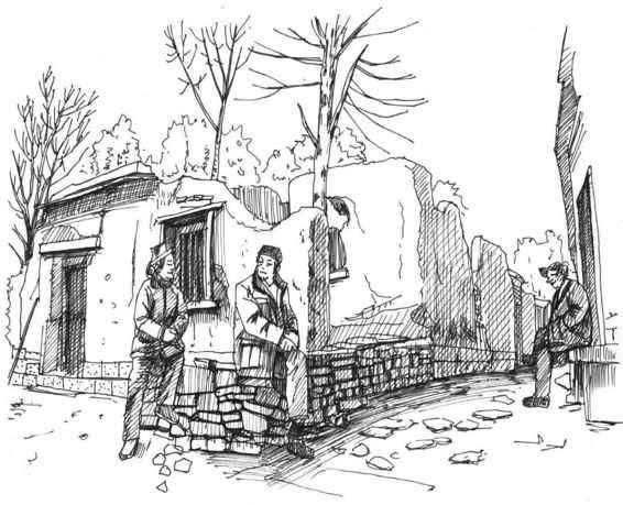 速写风景初学者入门教程,速写风景初学者入门教程植物