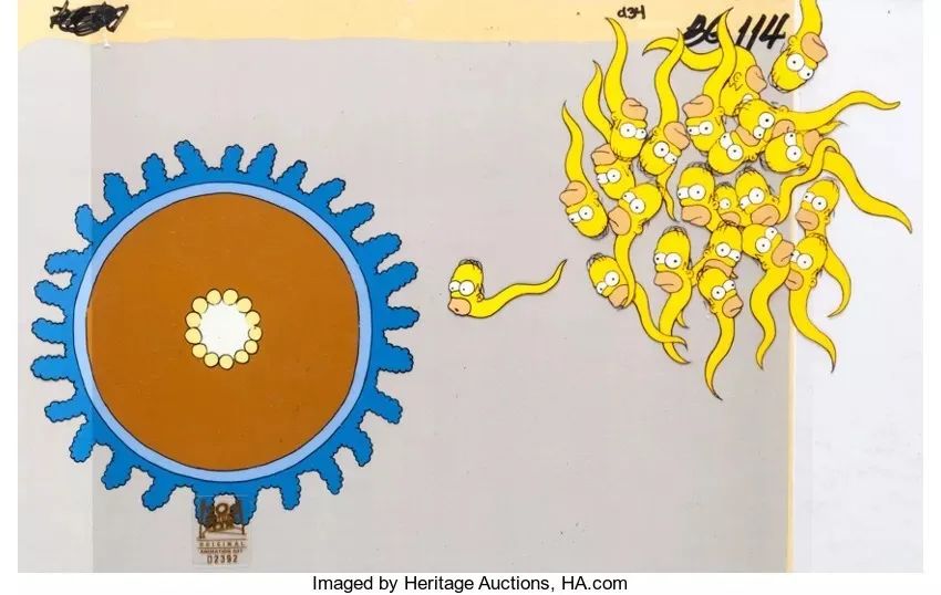 之前有精子为什么后来就没有了,之前检查有死精子后来无精