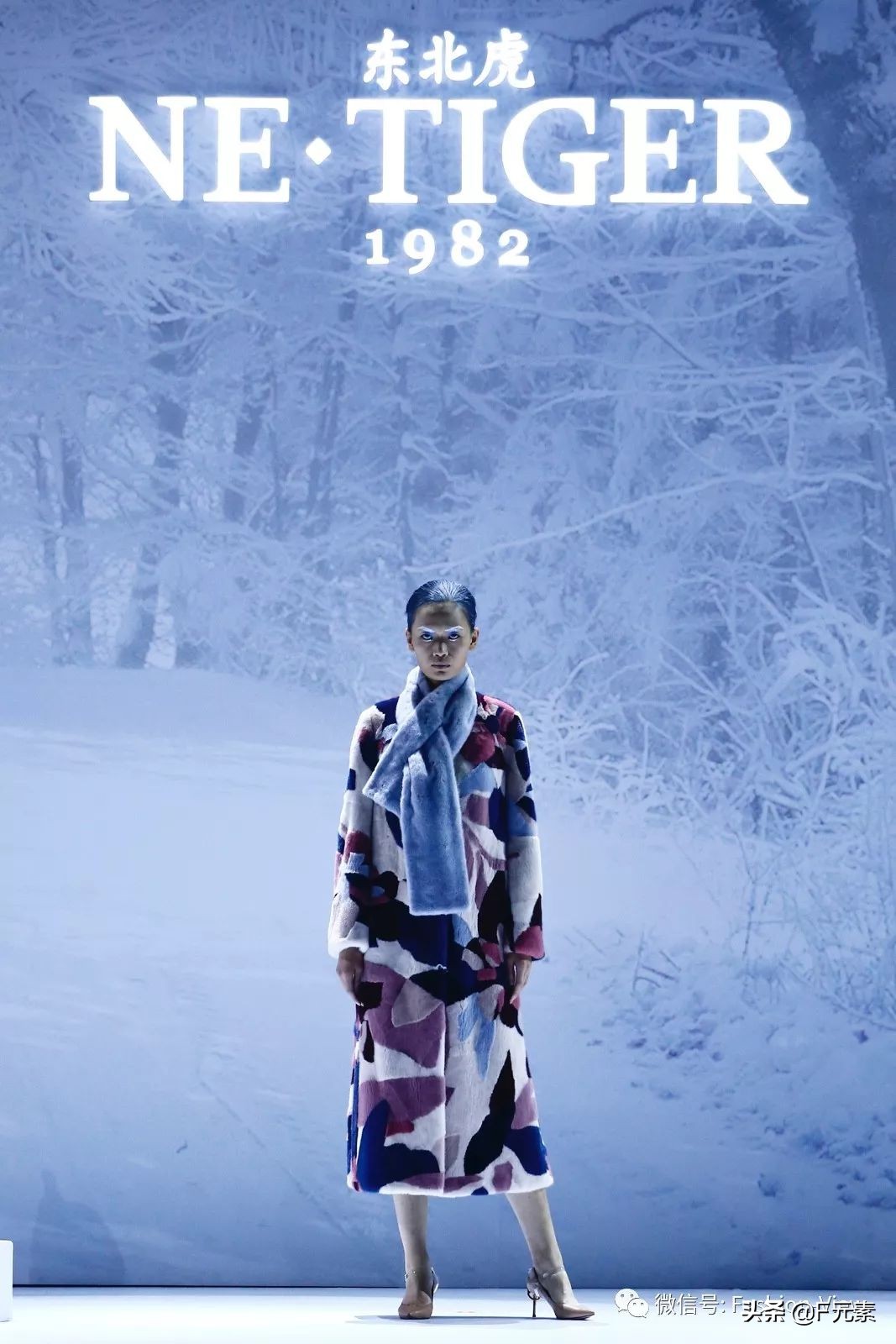 2020东北虎服饰秀图片,netiger华服