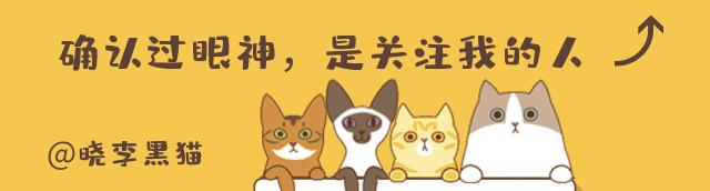 “情商”180，一只“社会”的小猫咪是怎么样炼成的？今天来教你