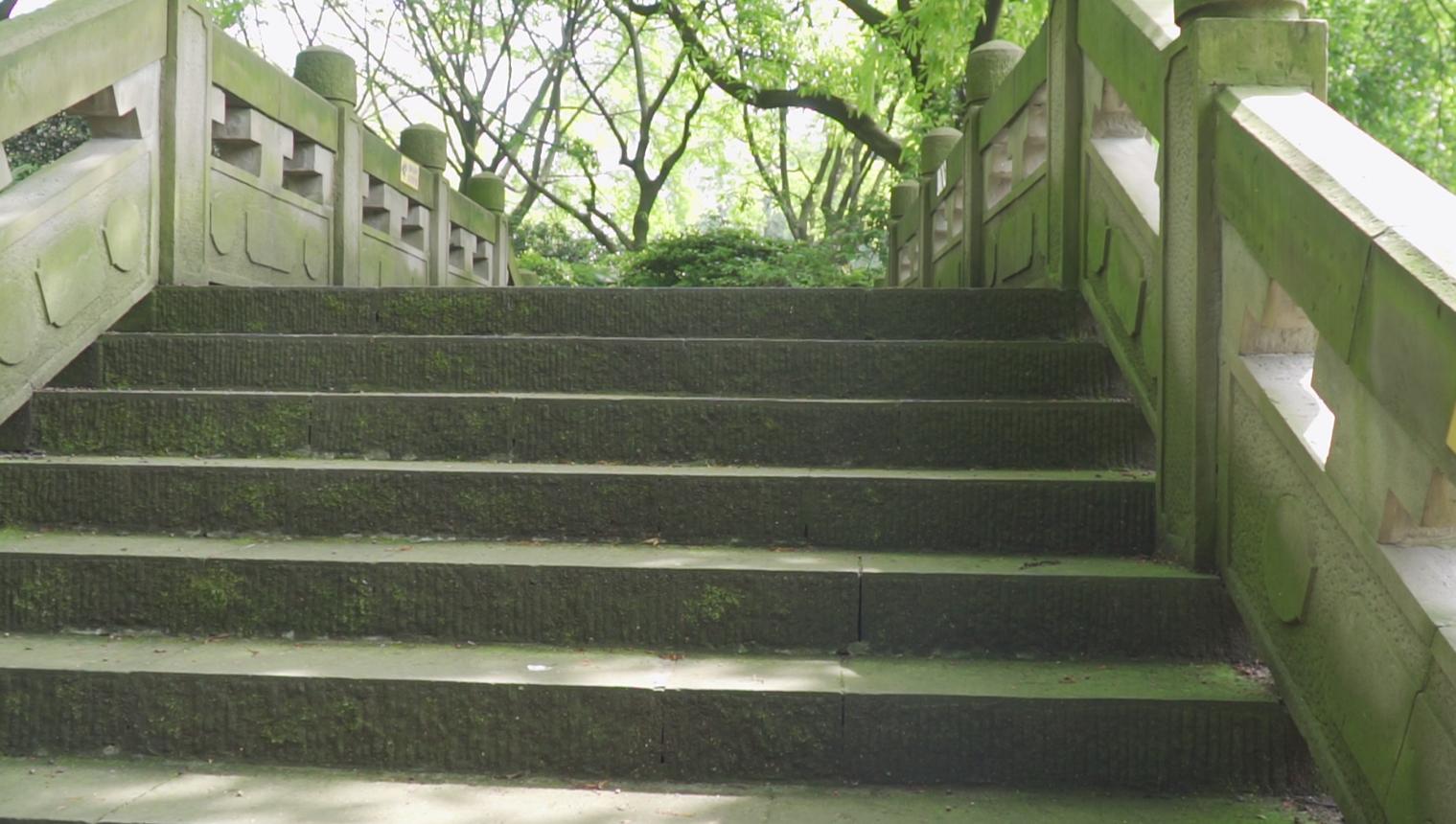 重庆西三街海鲜市场搬迁了吗,重庆西三街海鲜批发市场