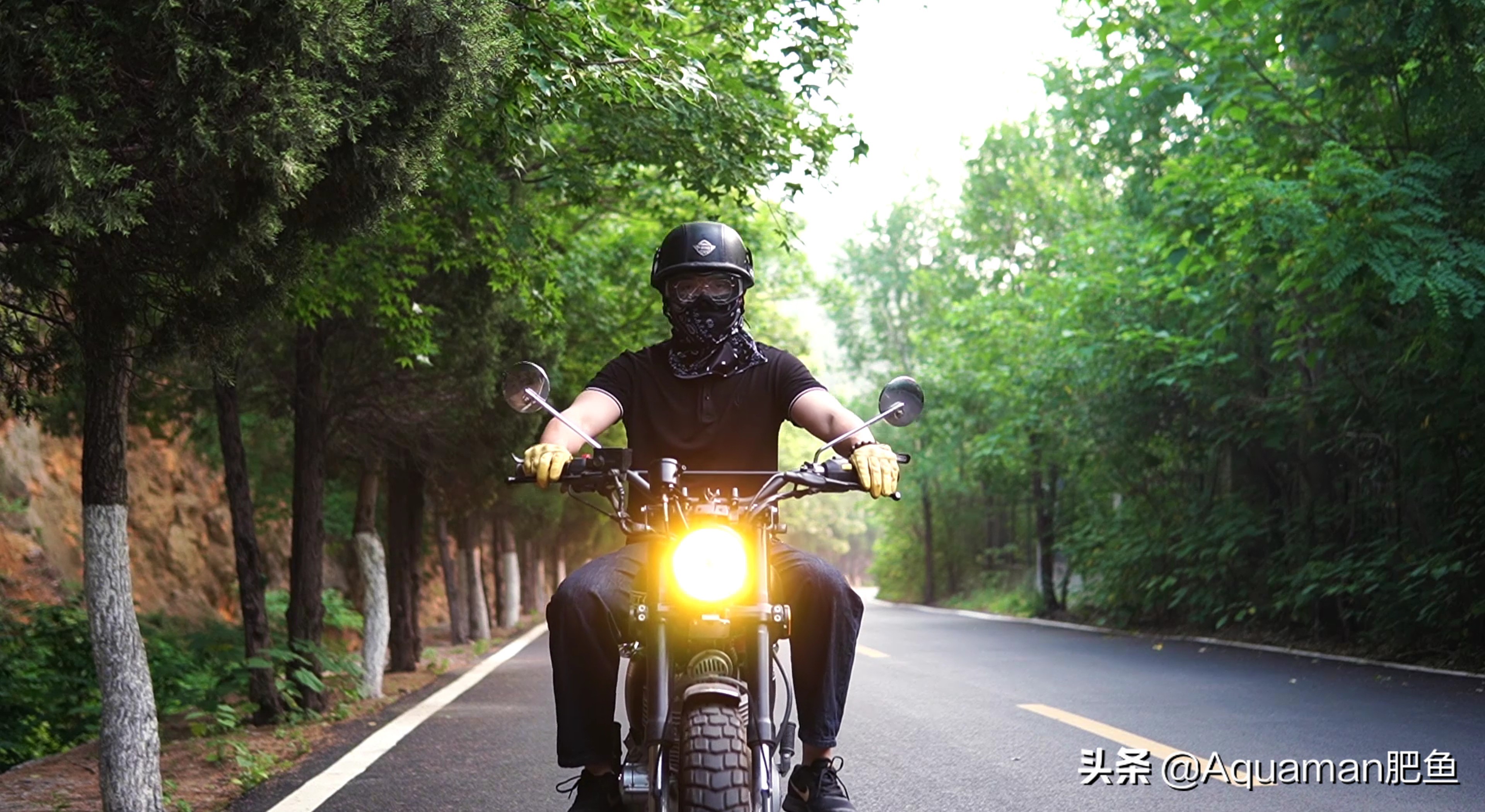 怎么低成本做个鱼缸,不用二氧化碳低成本的水草缸