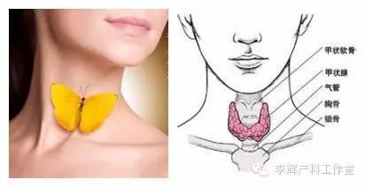 关于女性方面的问题,每个女生都有的问题