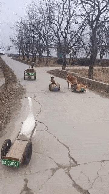 男的练瑜伽搞笑,男的去瑜伽店学瑜伽搞笑视频