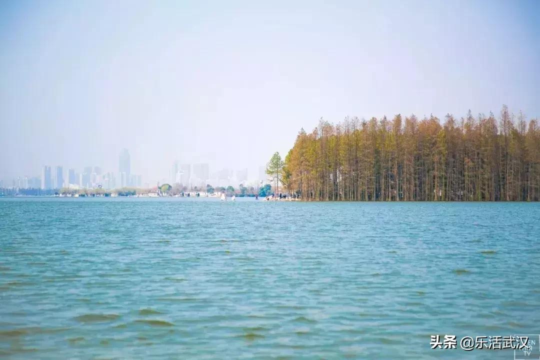 原来武汉有这么多好玩的打卡地,武汉周边新晋7大网红打卡地