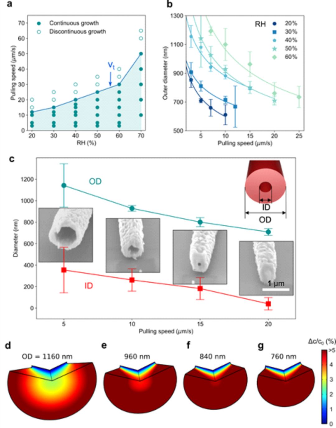 advancedmaterials文献免费下载,advancedscience封面图片