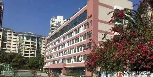 深圳科学高中重本率,深圳高中重本率排行榜