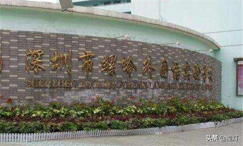 2022深圳罗湖区小学入学条件,2018深圳罗湖小学前十名