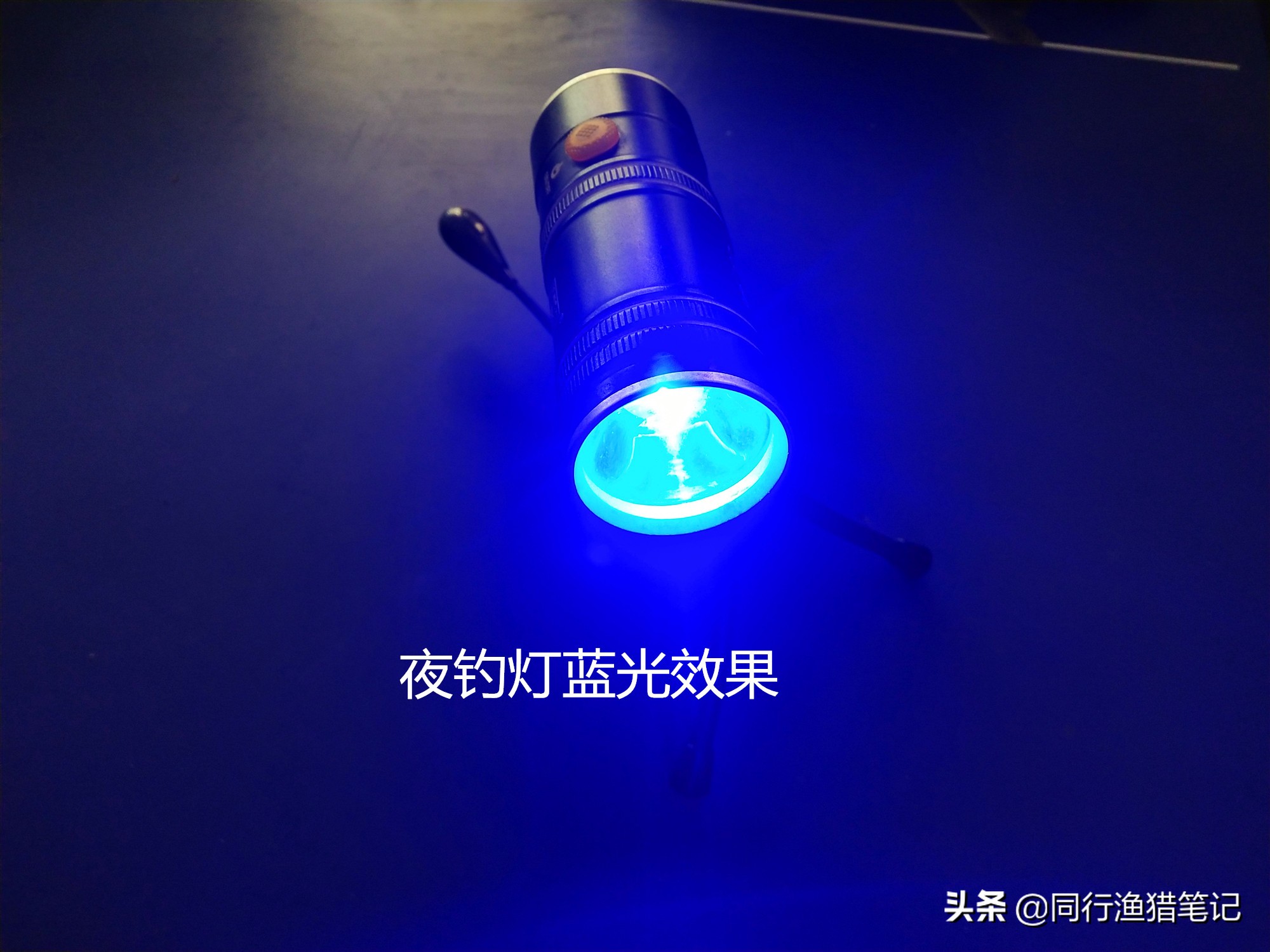 夜光漂夜钓效果如何,夜钓夜光棒如何循环使用