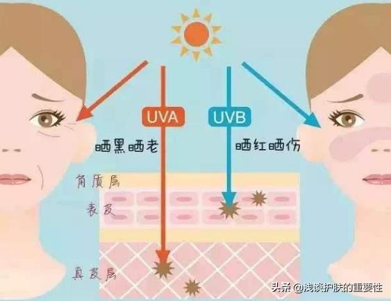 透亮皮肤用什么护肤品,皮肤越薄越白用什么护肤品好