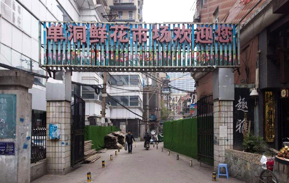 武汉比较大的鲜花批发市场,武汉鲜花市场