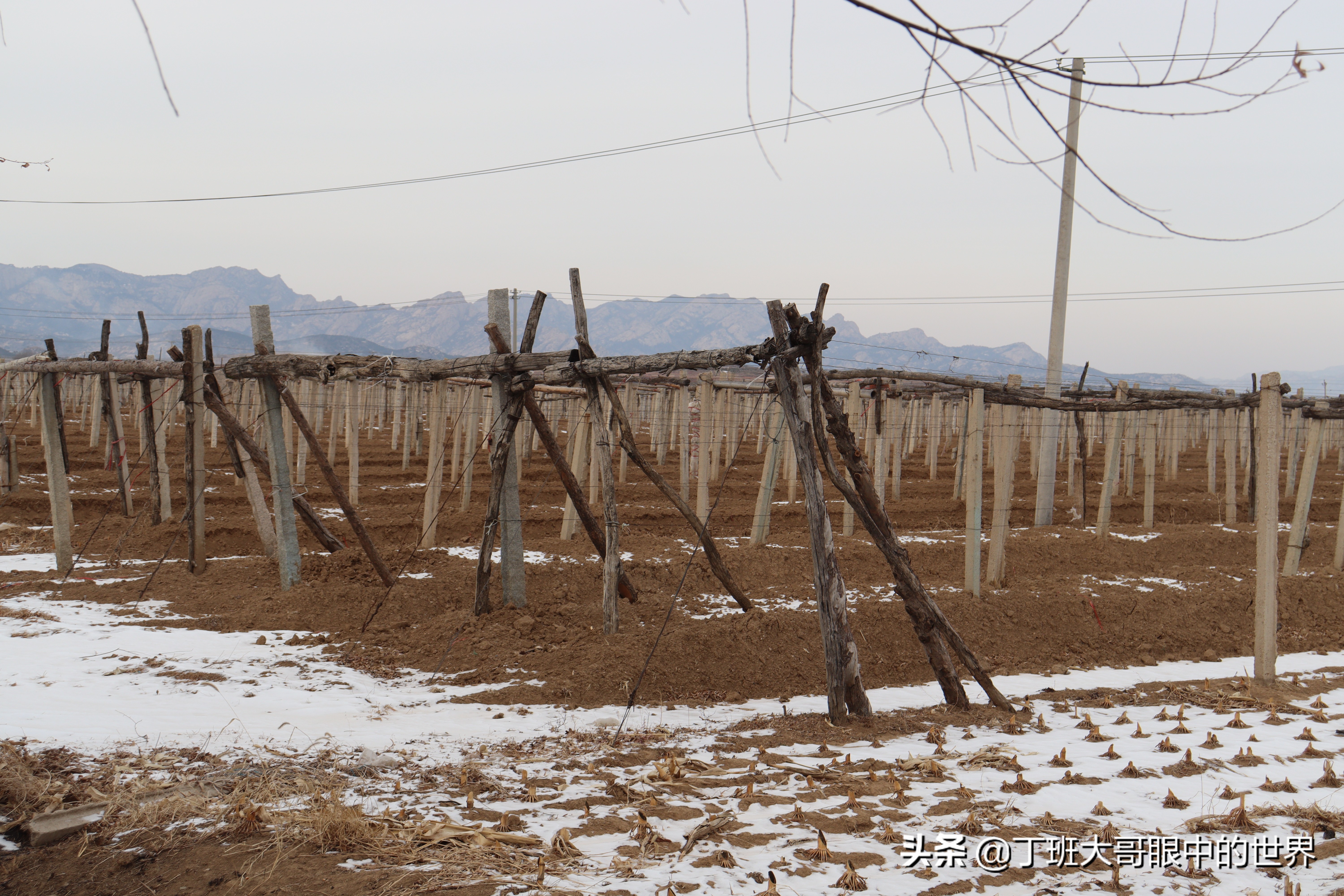 辽宁北镇历史文化简介,辽宁北镇市历史上叫什么