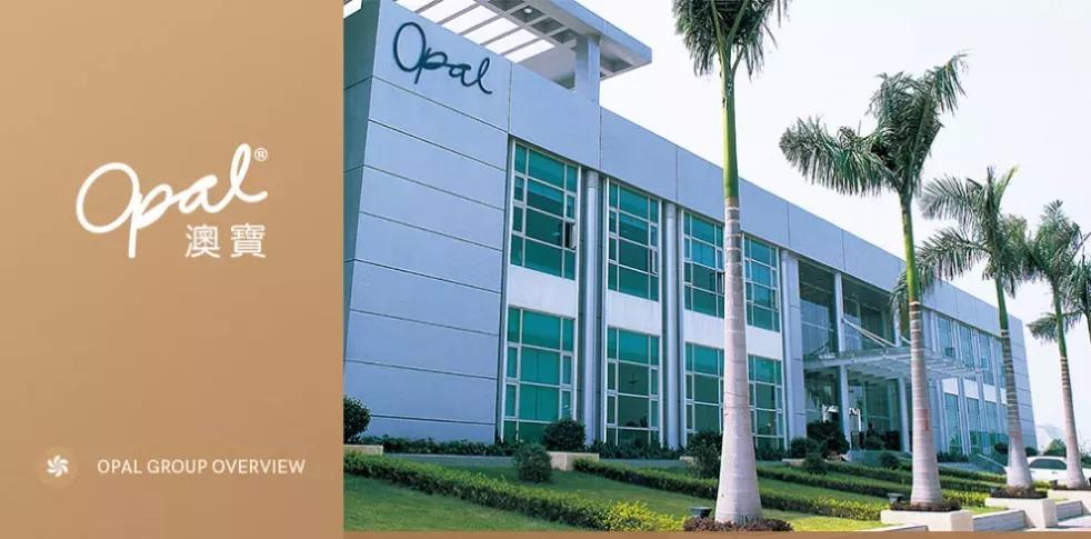 头发发质很蓬松而且很毛躁 (头发稀少不蓬松出油还厉害)